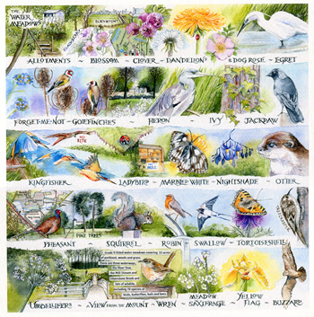 Towcester Water Meadows alphabet print
